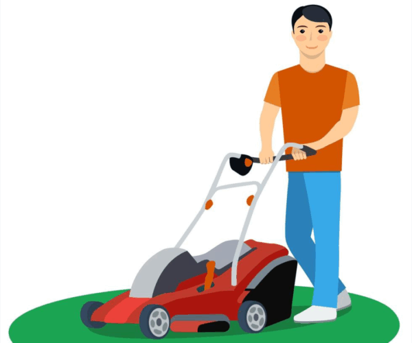 Servicio de poda y mantenimiento de jardín