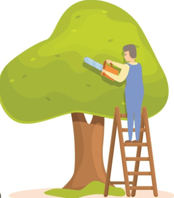 Servicio de poda y mantenimiento de jardín - Imagen 2